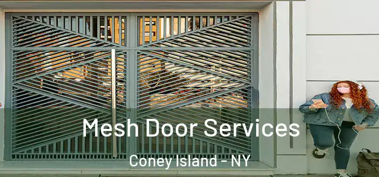 Mesh Door Services Coney Island - NY