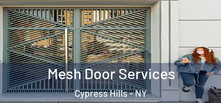 Mesh Door Services Cypress Hills - NY