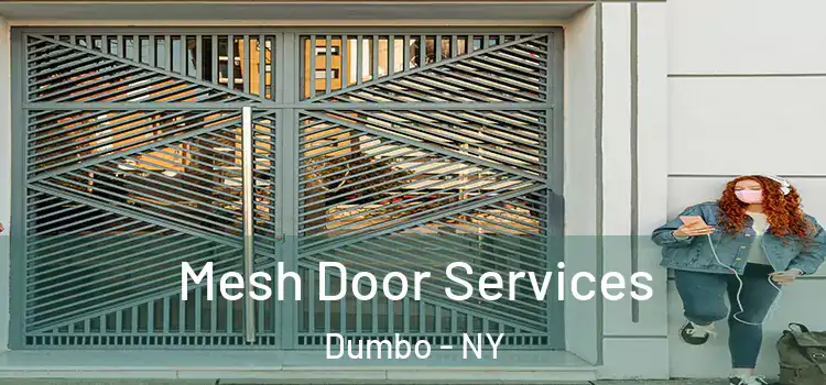  Mesh Door Services Dumbo - NY