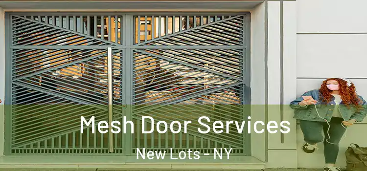 Mesh Door Services New Lots - NY