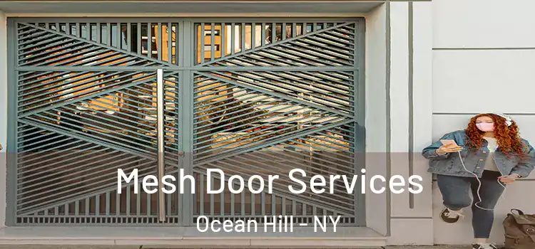  Mesh Door Services Ocean Hill - NY