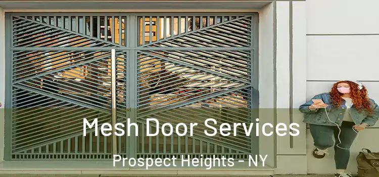 Mesh Door Services Prospect Heights - NY