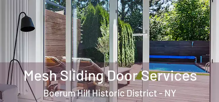 Mesh Sliding Door Services Boerum Hill Historic District - NY