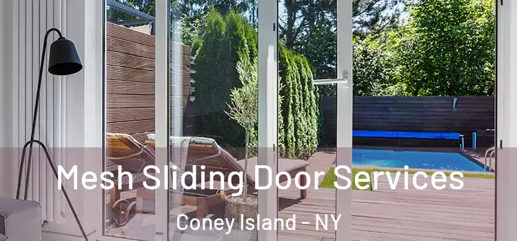 Mesh Sliding Door Services Coney Island - NY