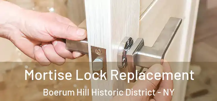 Mortise Lock Replacement Boerum Hill Historic District - NY