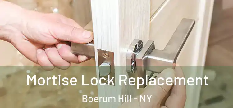 Mortise Lock Replacement Boerum Hill - NY