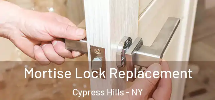  Mortise Lock Replacement Cypress Hills - NY