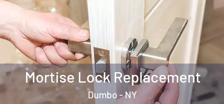 Mortise Lock Replacement Dumbo - NY