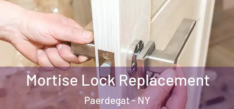  Mortise Lock Replacement Paerdegat - NY