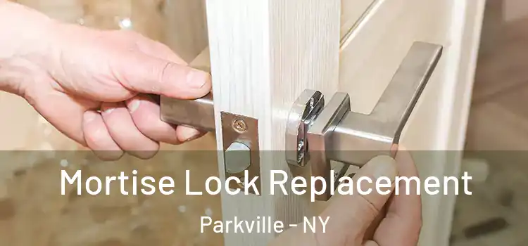Mortise Lock Replacement Parkville - NY