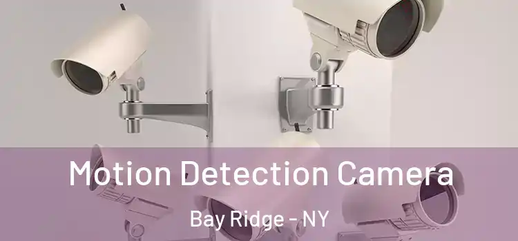  Motion Detection Camera Bay Ridge - NY