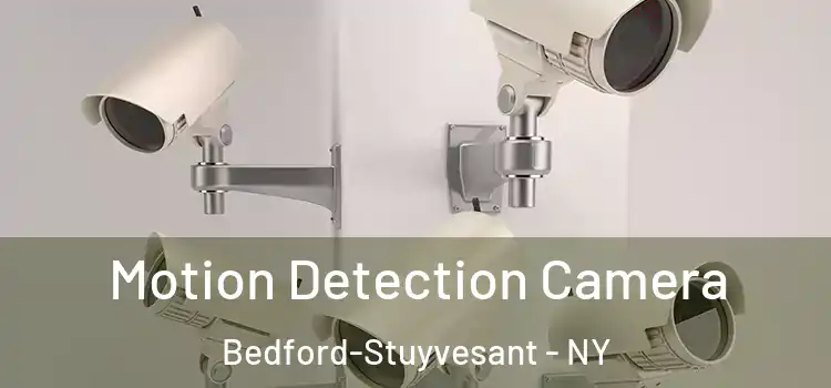  Motion Detection Camera Bedford-Stuyvesant - NY