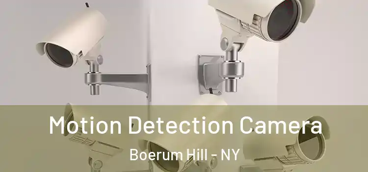  Motion Detection Camera Boerum Hill - NY