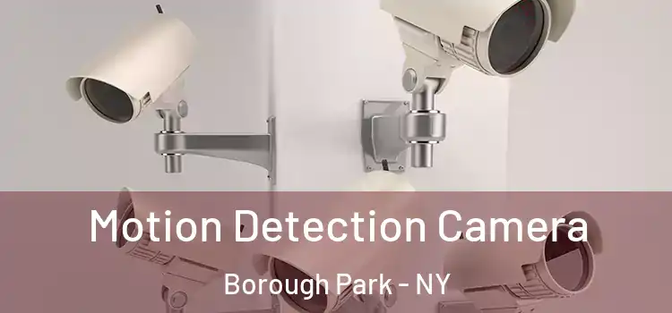  Motion Detection Camera Borough Park - NY