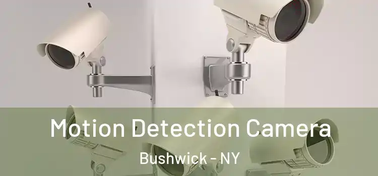  Motion Detection Camera Bushwick - NY