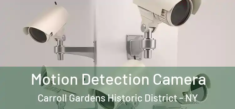  Motion Detection Camera Carroll Gardens Historic District - NY