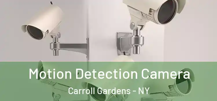  Motion Detection Camera Carroll Gardens - NY