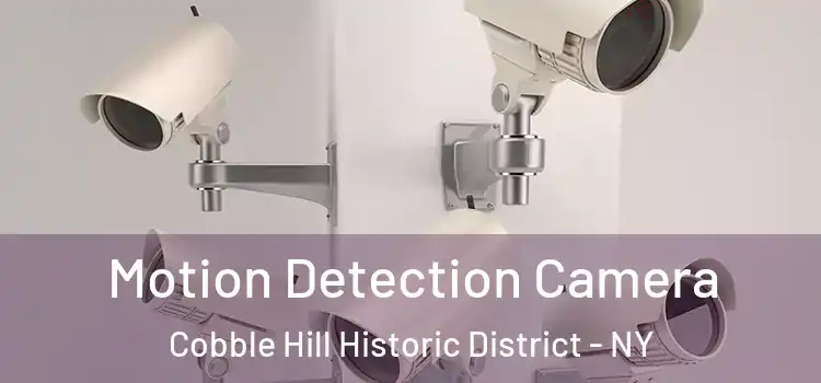  Motion Detection Camera Cobble Hill Historic District - NY