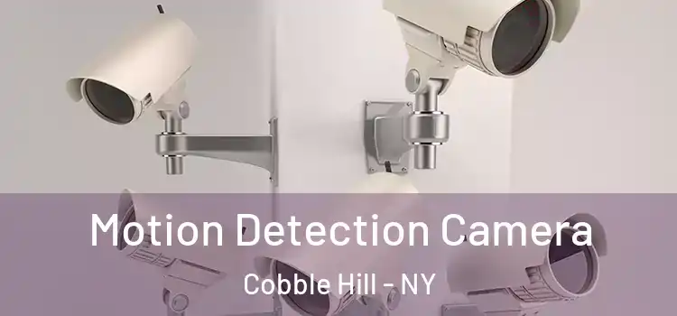  Motion Detection Camera Cobble Hill - NY