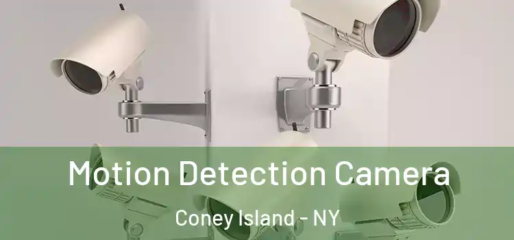  Motion Detection Camera Coney Island - NY