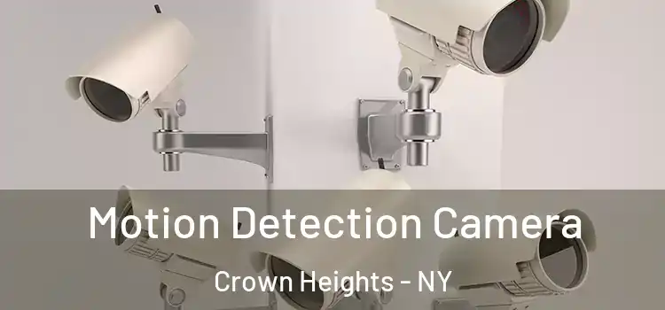  Motion Detection Camera Crown Heights - NY