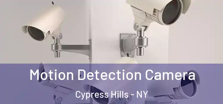  Motion Detection Camera Cypress Hills - NY