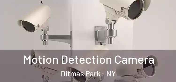  Motion Detection Camera Ditmas Park - NY