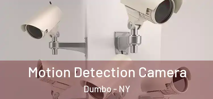 Motion Detection Camera Dumbo - NY