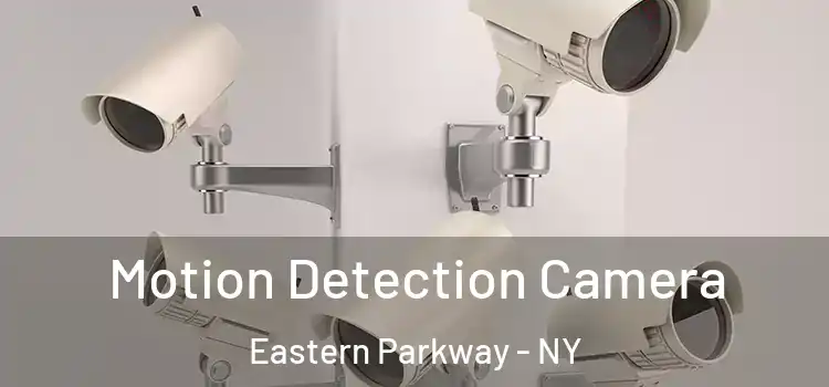  Motion Detection Camera Eastern Parkway - NY