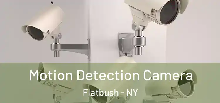  Motion Detection Camera Flatbush - NY