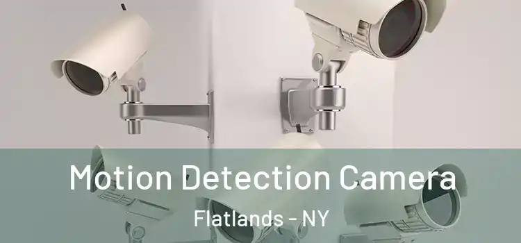  Motion Detection Camera Flatlands - NY
