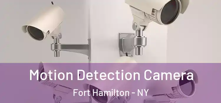  Motion Detection Camera Fort Hamilton - NY