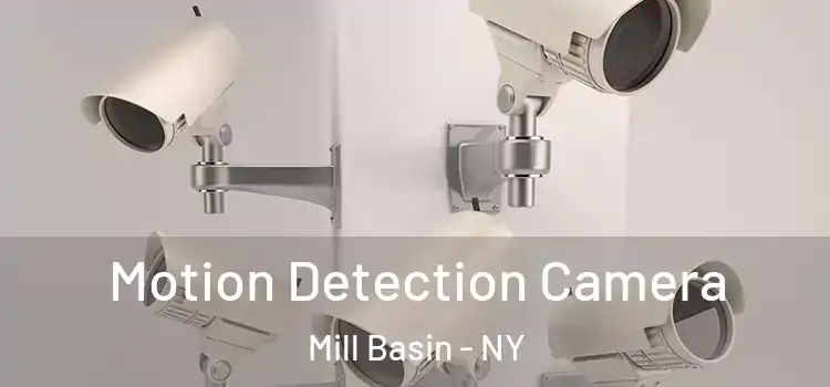  Motion Detection Camera Mill Basin - NY