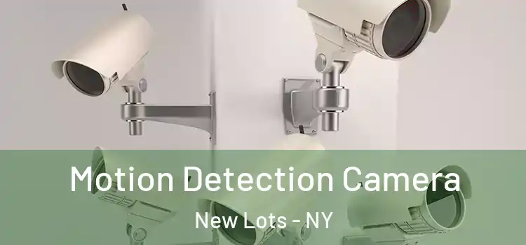  Motion Detection Camera New Lots - NY