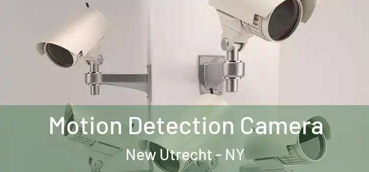  Motion Detection Camera New Utrecht - NY