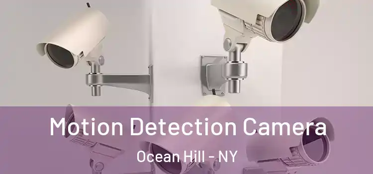  Motion Detection Camera Ocean Hill - NY