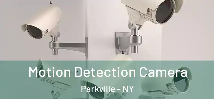  Motion Detection Camera Parkville - NY