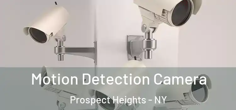  Motion Detection Camera Prospect Heights - NY