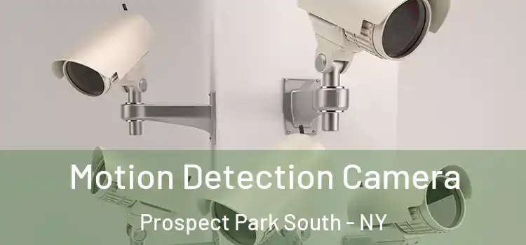 Motion Detection Camera Prospect Park South - NY