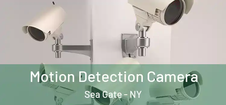  Motion Detection Camera Sea Gate - NY