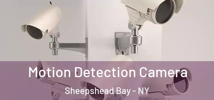  Motion Detection Camera Sheepshead Bay - NY