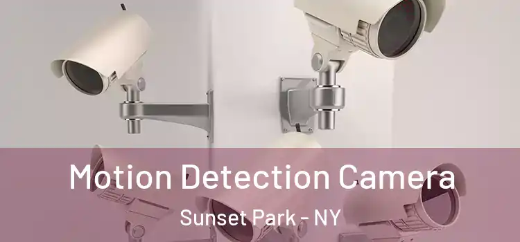  Motion Detection Camera Sunset Park - NY
