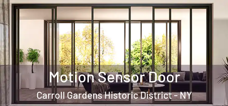  Motion Sensor Door Carroll Gardens Historic District - NY