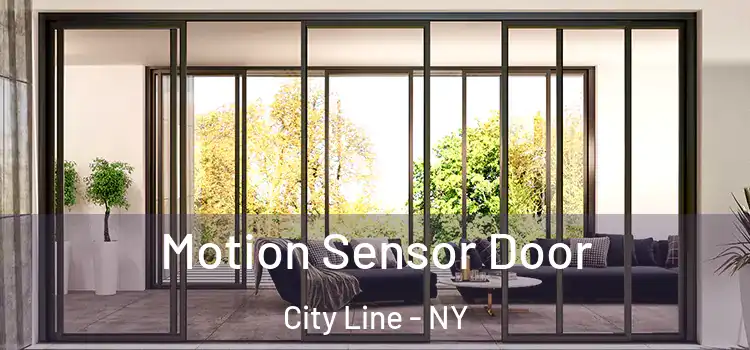 Motion Sensor Door City Line - NY