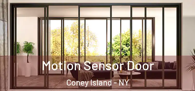 Motion Sensor Door Coney Island - NY