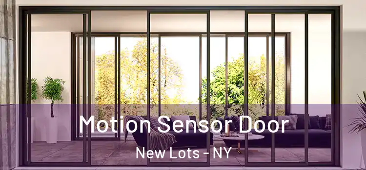 Motion Sensor Door New Lots - NY