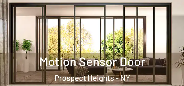  Motion Sensor Door Prospect Heights - NY