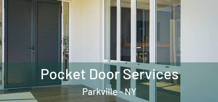 Pocket Door Services Parkville - NY