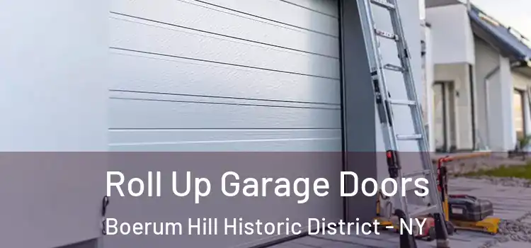  Roll Up Garage Doors Boerum Hill Historic District - NY