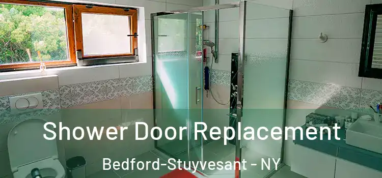 Shower Door Replacement Bedford-Stuyvesant - NY